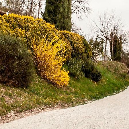 Calmancino Delle Selve Bed & Breakfast Urbino Luaran gambar