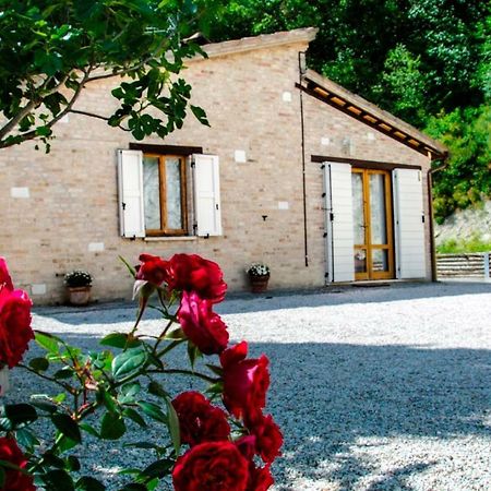 Calmancino Delle Selve Bed & Breakfast Urbino Luaran gambar