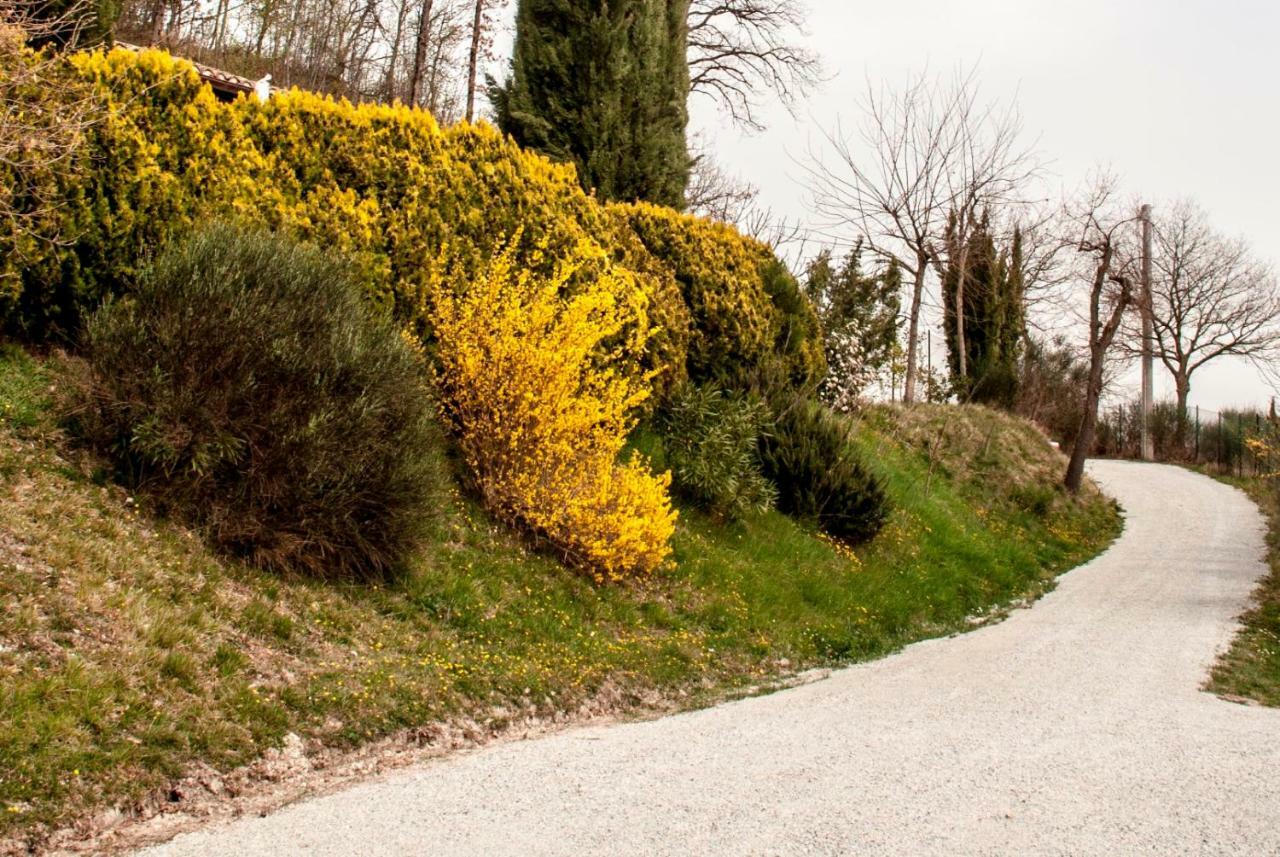 Calmancino Delle Selve Bed & Breakfast Urbino Luaran gambar