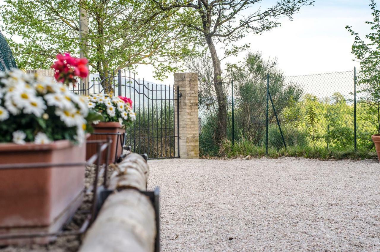 Calmancino Delle Selve Bed & Breakfast Urbino Luaran gambar