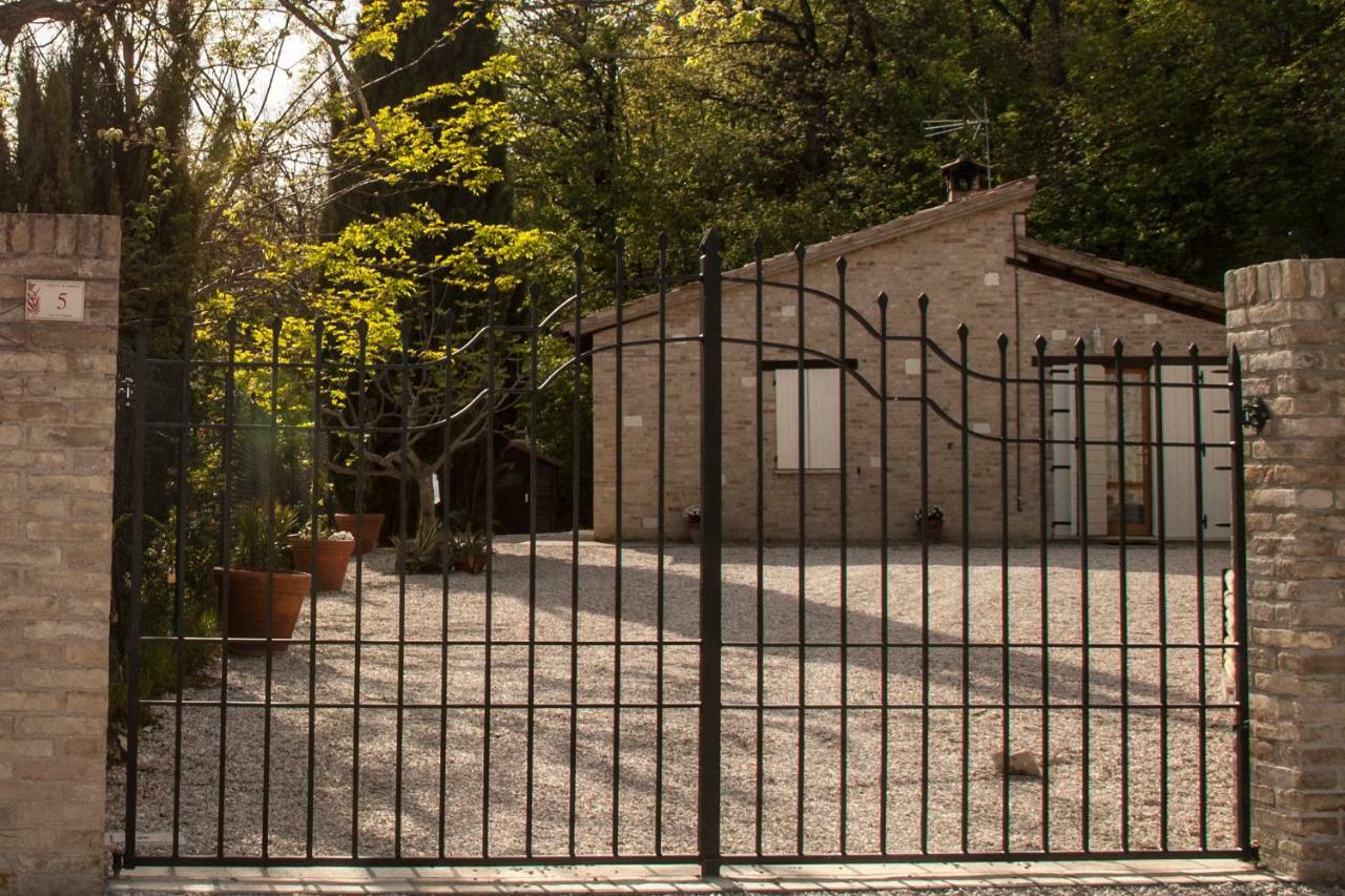 Calmancino Delle Selve Bed & Breakfast Urbino Luaran gambar