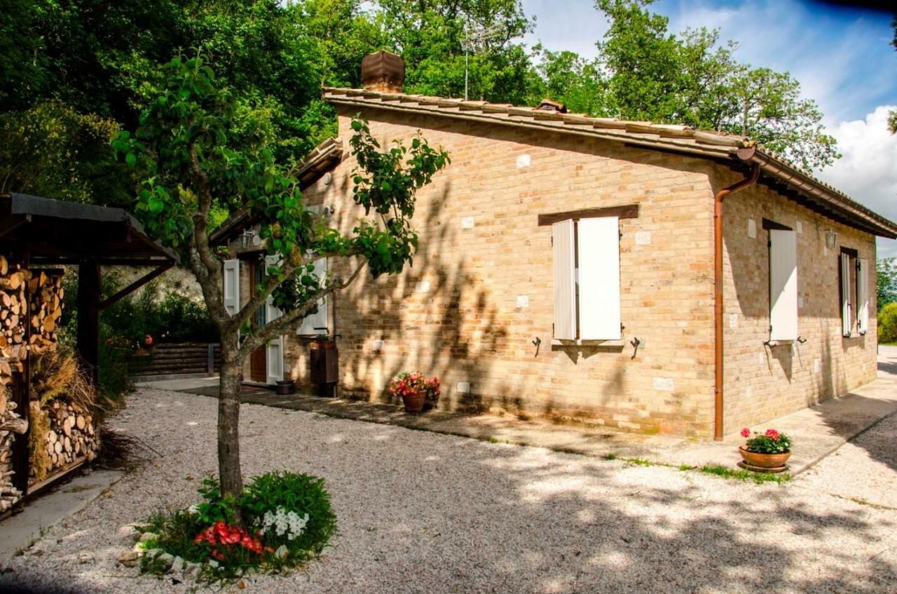 Calmancino Delle Selve Bed & Breakfast Urbino Luaran gambar