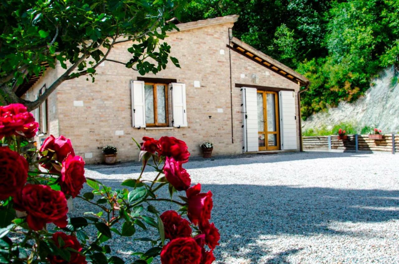 Calmancino Delle Selve Bed & Breakfast Urbino Luaran gambar