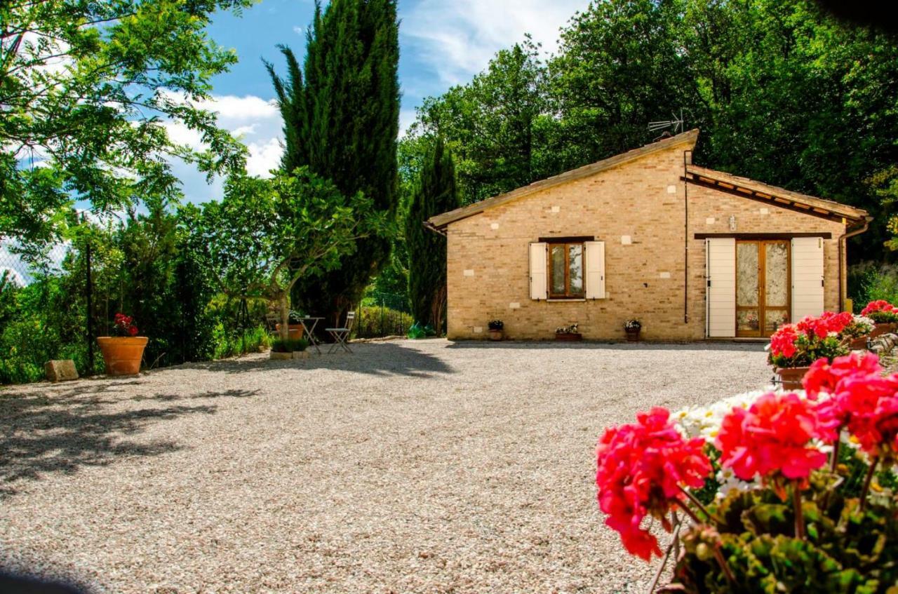 Calmancino Delle Selve Bed & Breakfast Urbino Luaran gambar