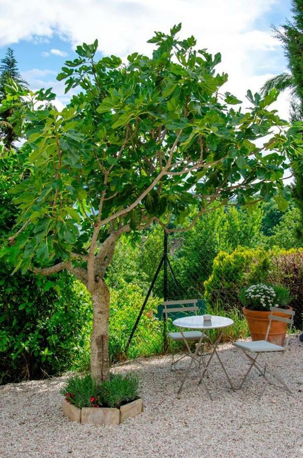 Calmancino Delle Selve Bed & Breakfast Urbino Luaran gambar