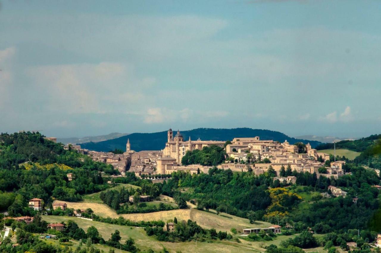 Calmancino Delle Selve Bed & Breakfast Urbino Luaran gambar
