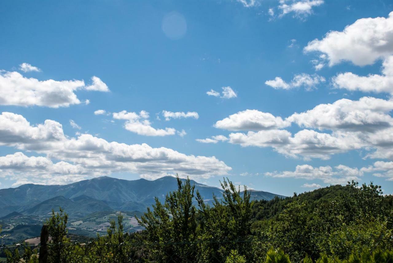 Calmancino Delle Selve Bed & Breakfast Urbino Luaran gambar