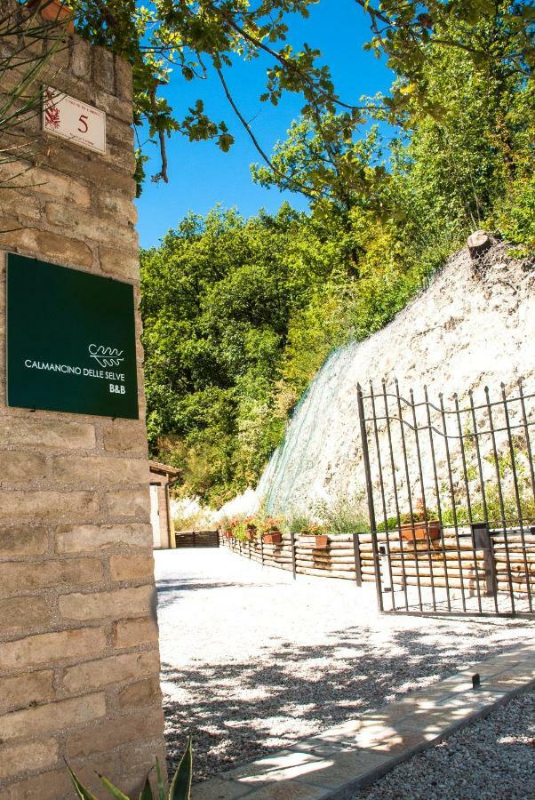 Calmancino Delle Selve Bed & Breakfast Urbino Luaran gambar