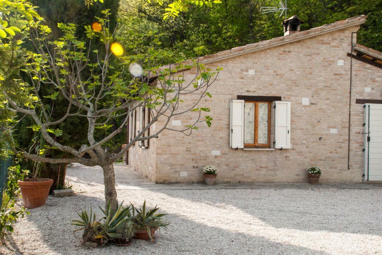 Calmancino Delle Selve Bed & Breakfast Urbino Luaran gambar