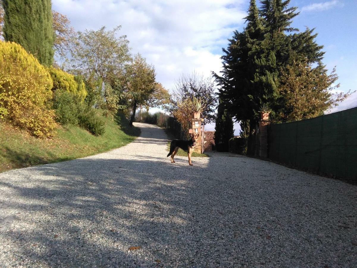Calmancino Delle Selve Bed & Breakfast Urbino Luaran gambar