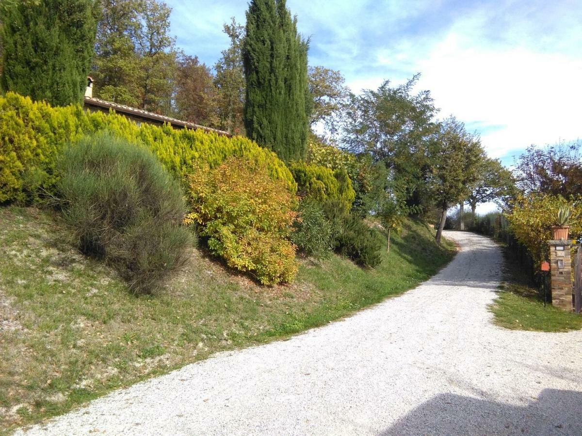 Calmancino Delle Selve Bed & Breakfast Urbino Luaran gambar